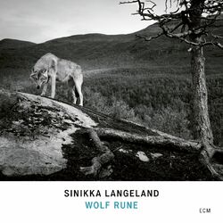 Cover of Wolf Rune