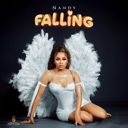 Cover of Falling
