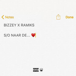 Cover of S/O naar de...
