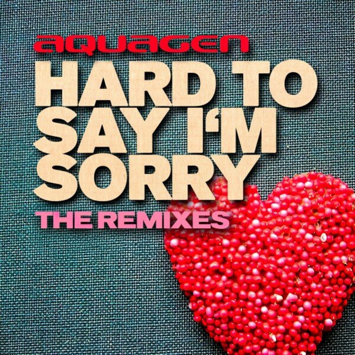 Album cover of Hard To Say I'm Sorry (The Remixes)