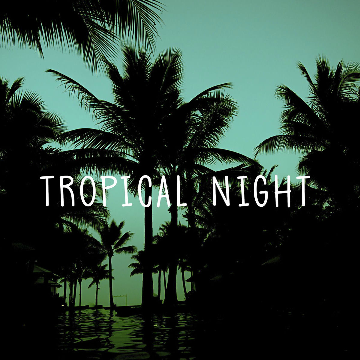 Album cover of Tropical Night