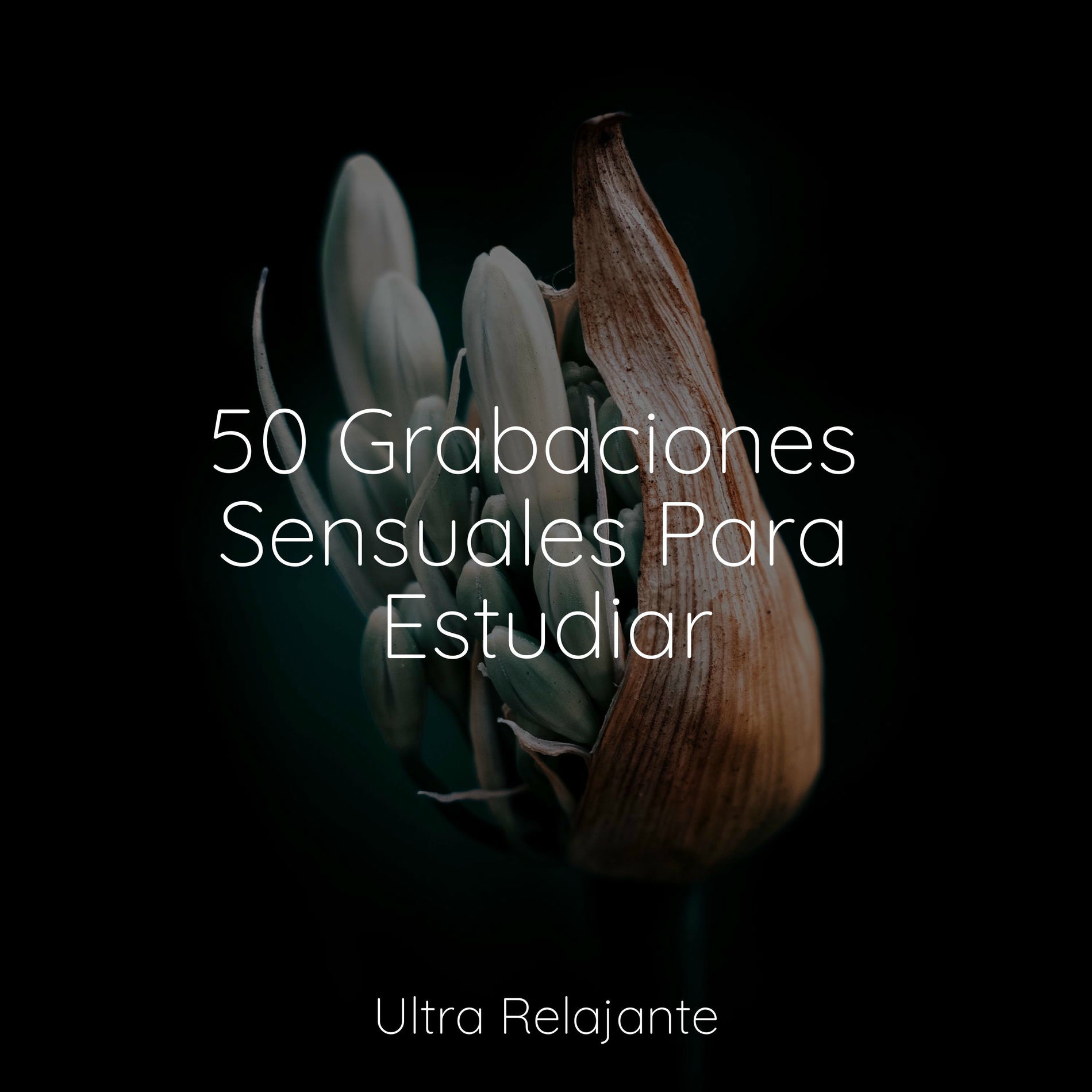 Album cover of 50 Grabaciones Sensuales Para Estudiar