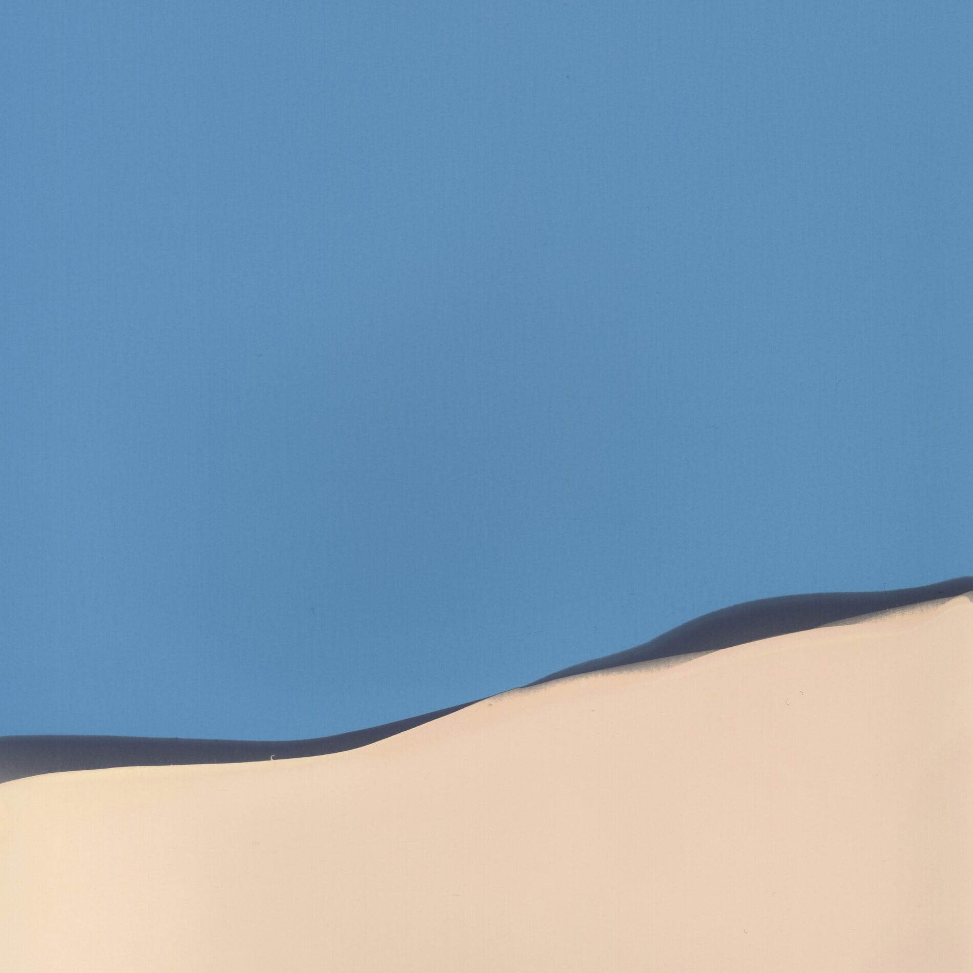 Album cover of Waves (Selected Works) (Live)