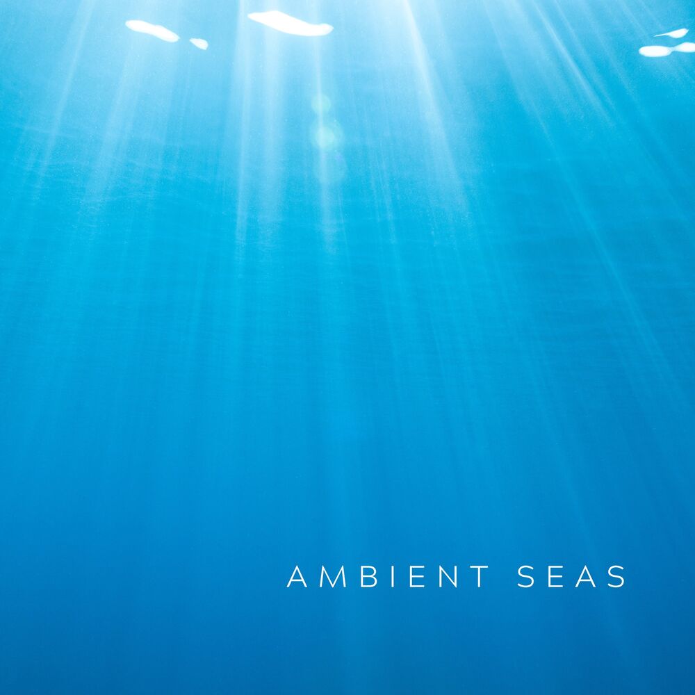 Picture of Ambient Seas