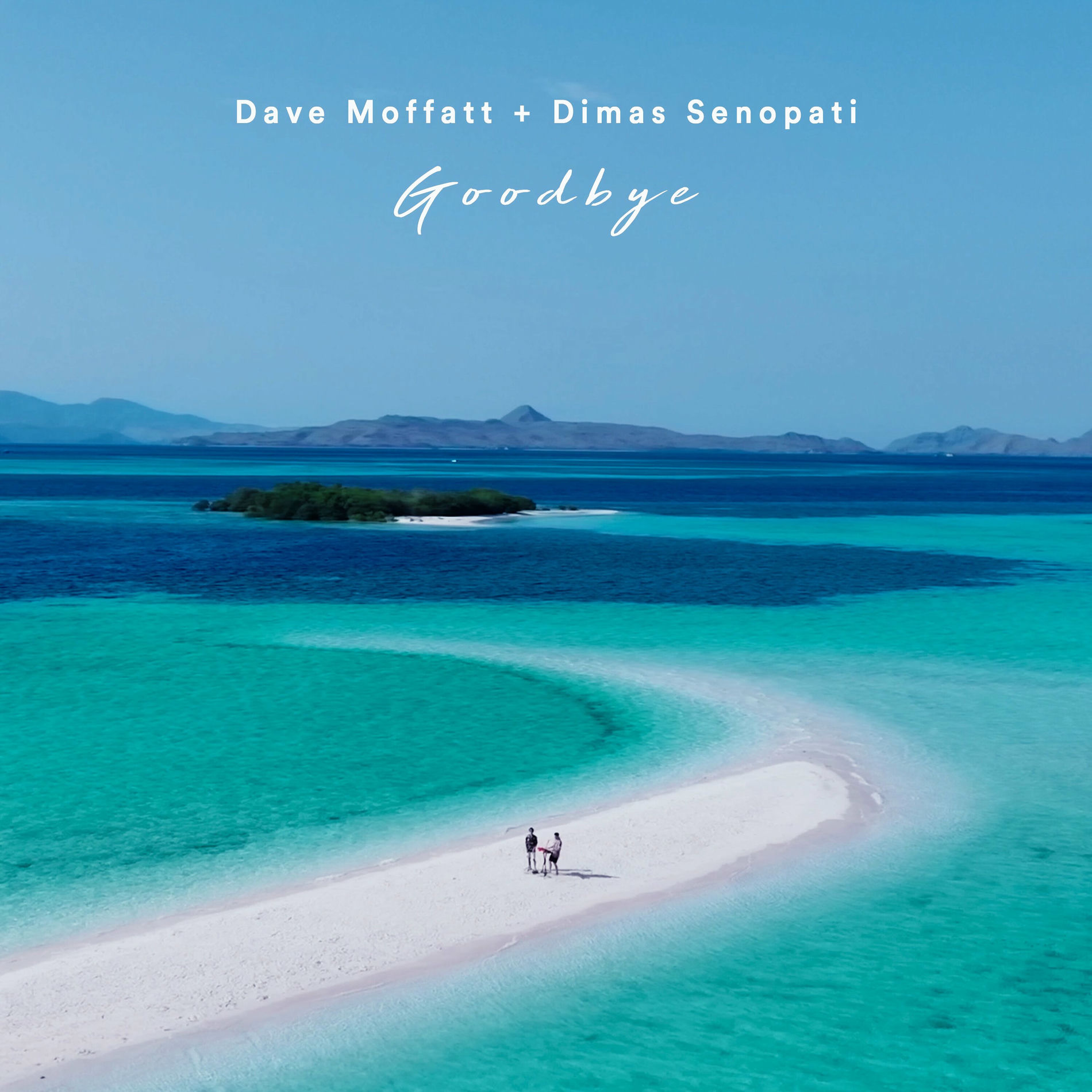 Album cover of Goodbye