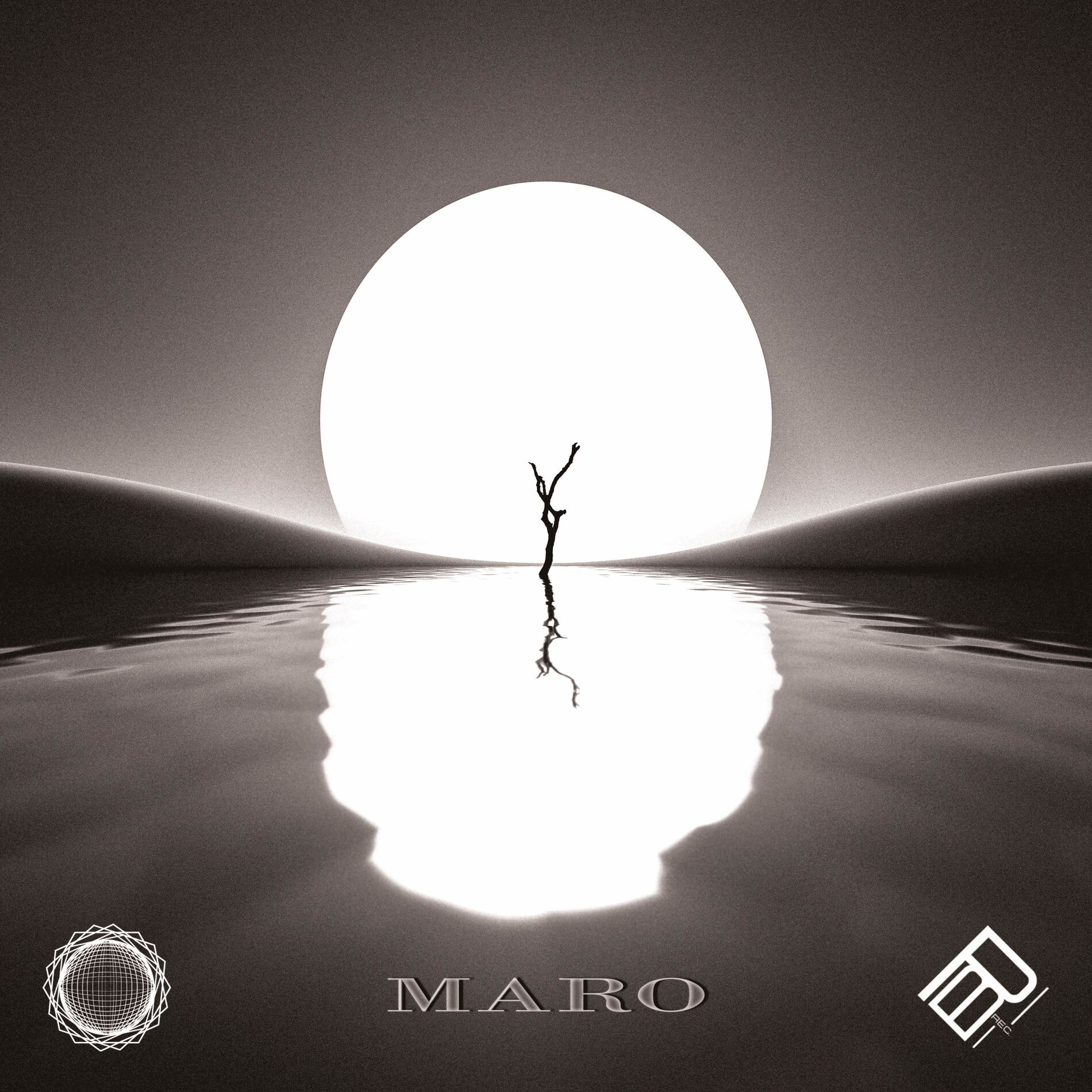 Album cover of Revolution
