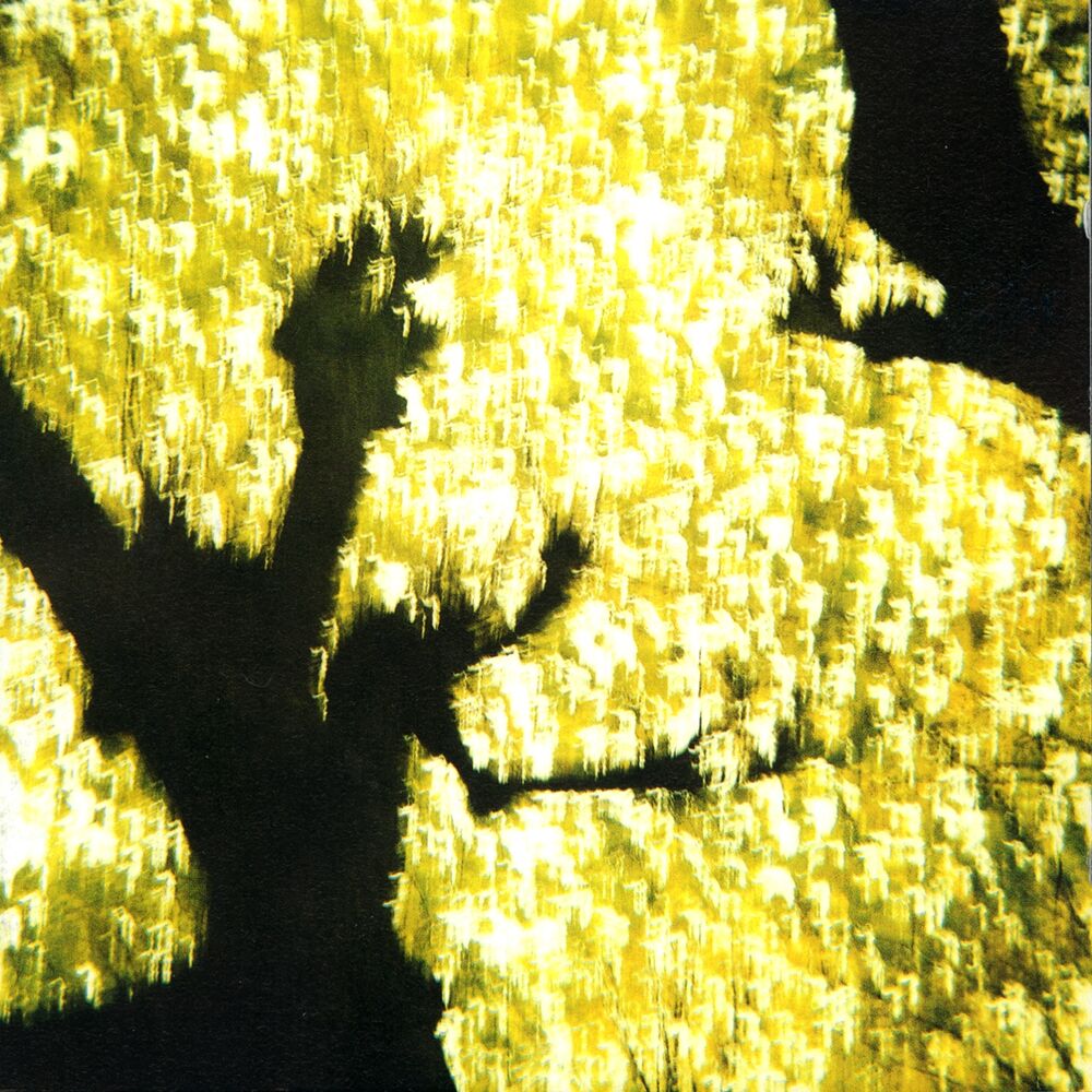 Picture of Angel Archipelago