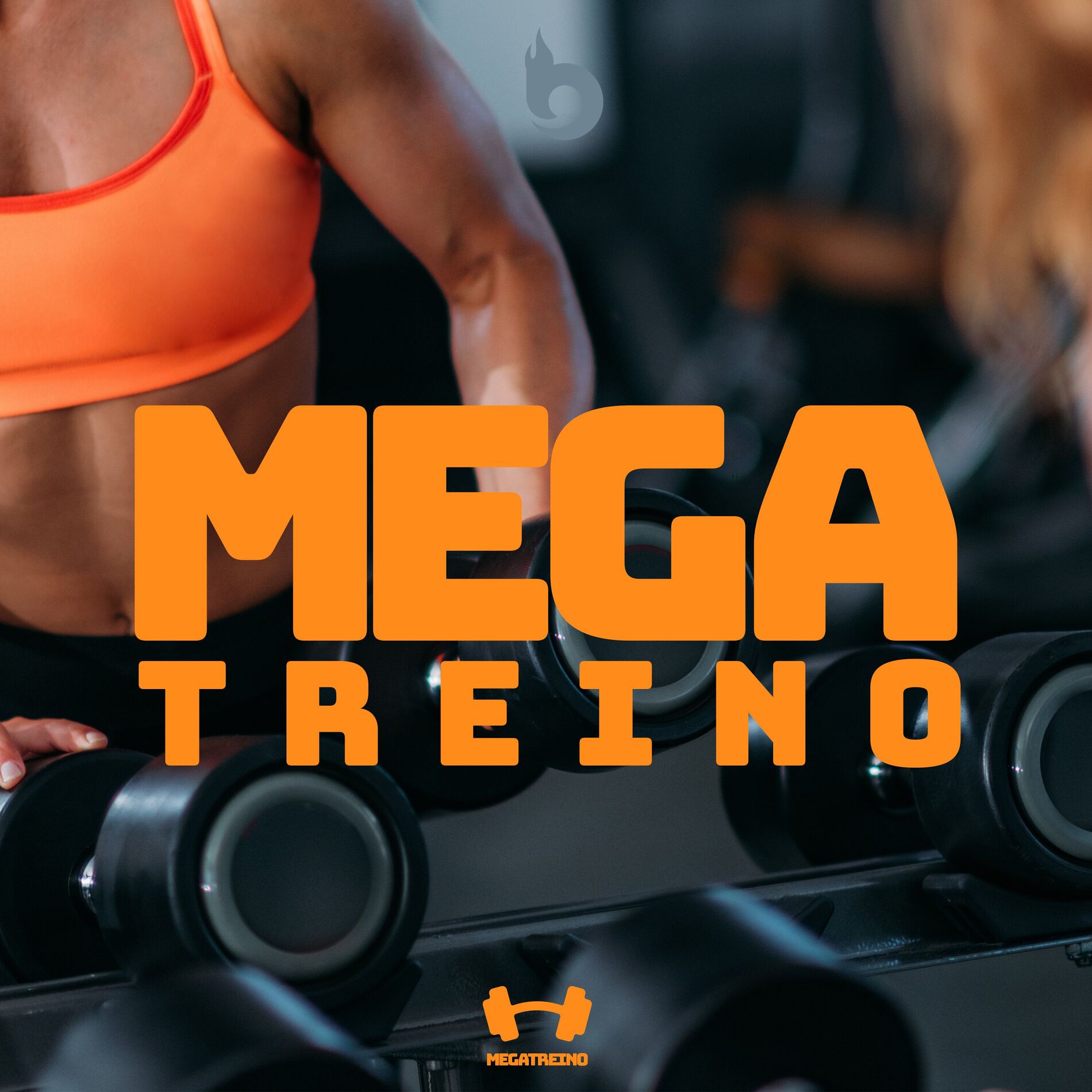 Album cover of Mega Treino