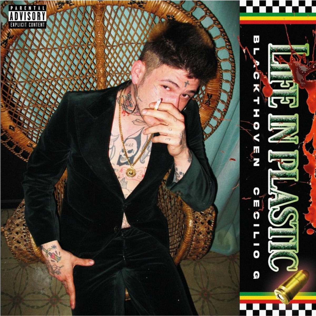 Album cover of Life In Plastic