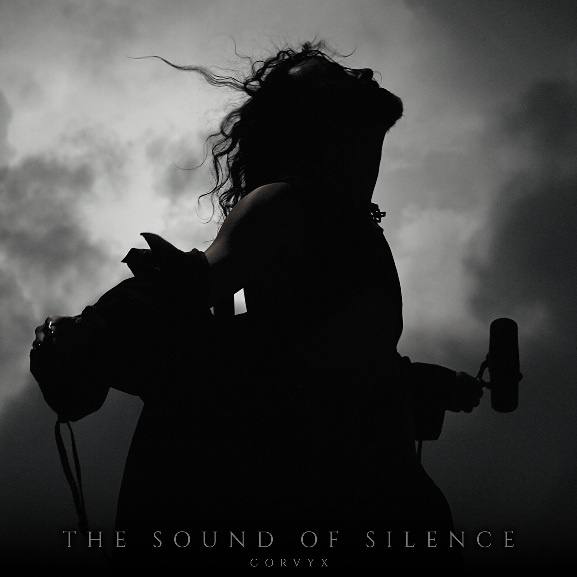 Album cover of The Sound of Silence