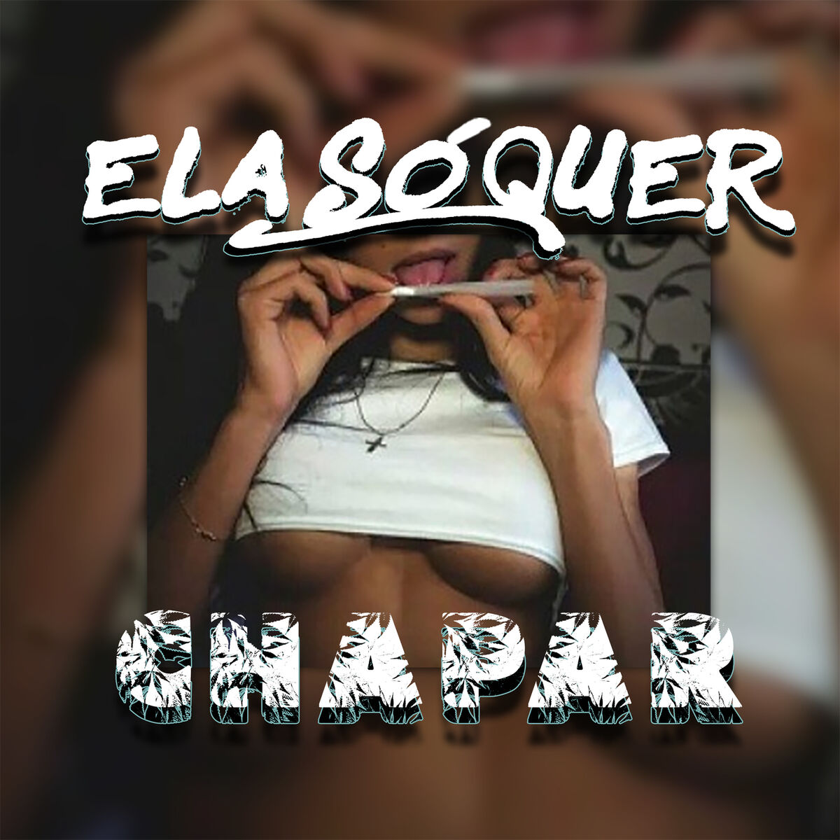 Album cover of Ela Só Quer Chapar