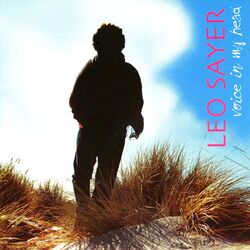 Cover of Voice in my Head