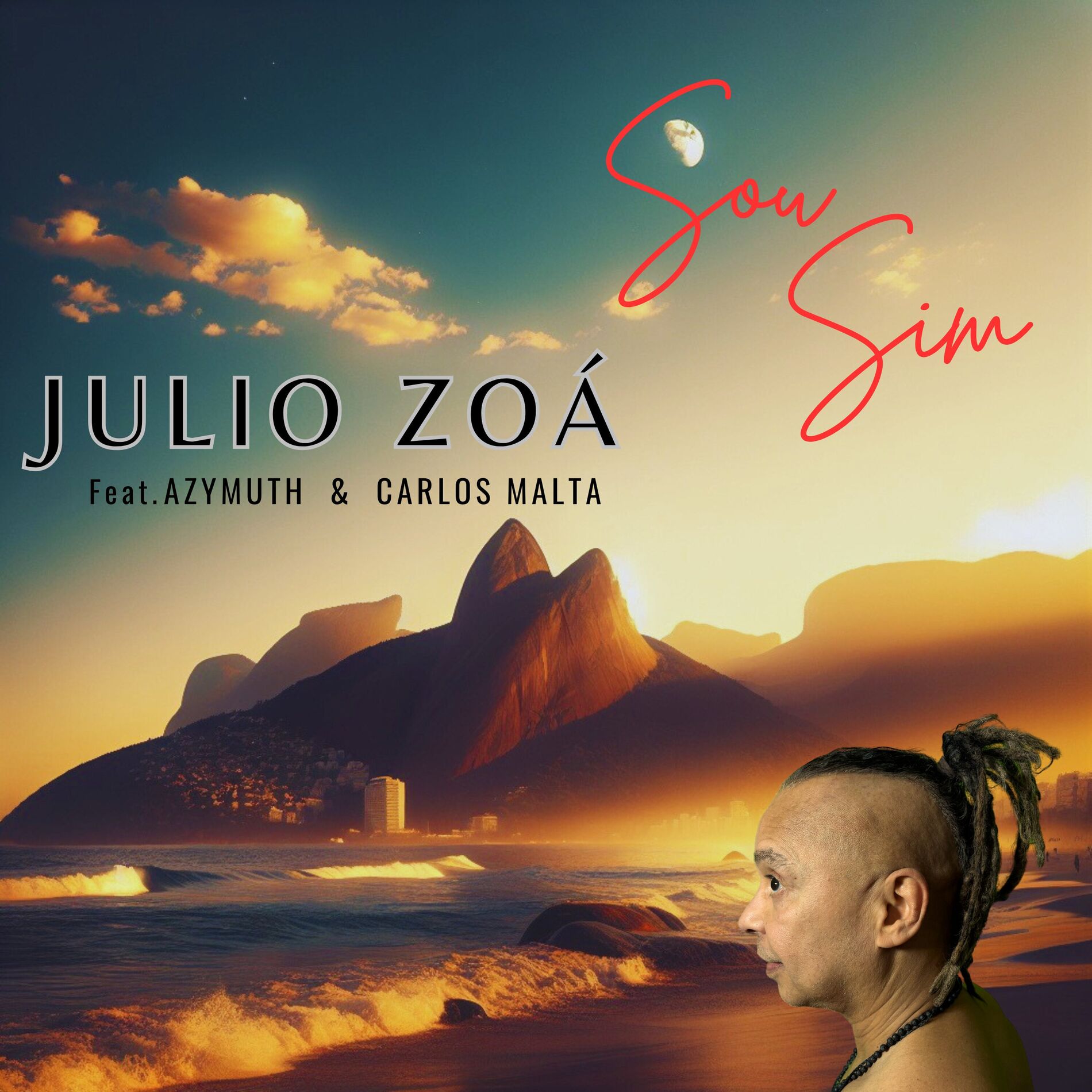 Album cover of Sou Sim