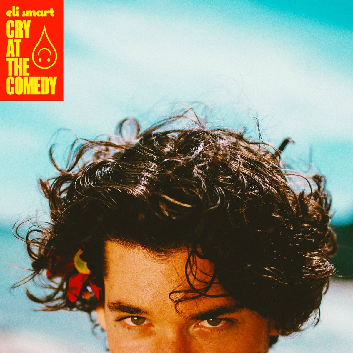 Album cover of Cry At The Comedy
