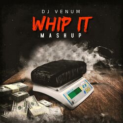 Cover of Whip it