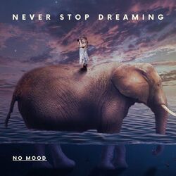 Cover of Never Stop Dreaming