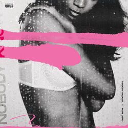Cover of Nobody Knows