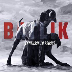 Cover of Li neussa lo peussé