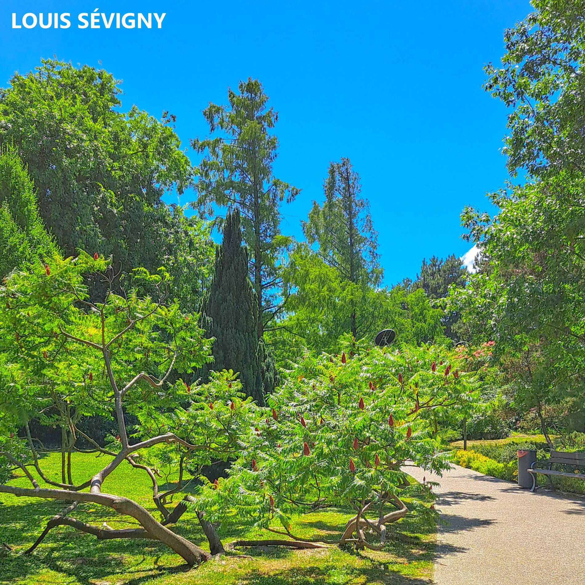 Album cover of This Time
