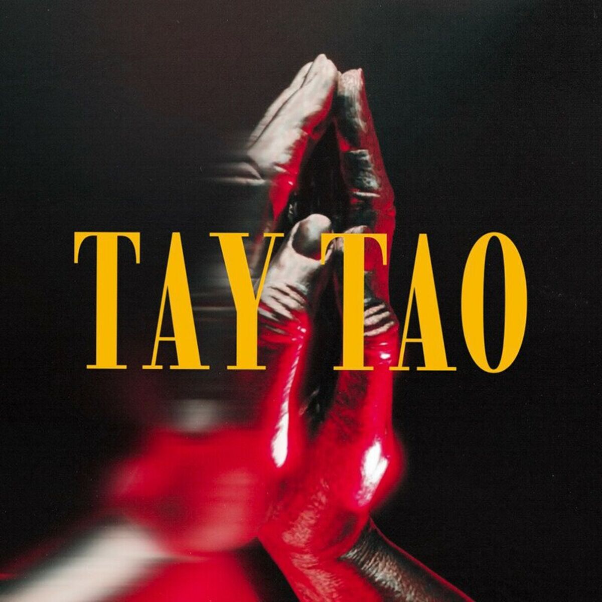 Album cover of Tay Tao