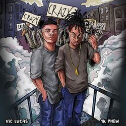 Cover of Crazy