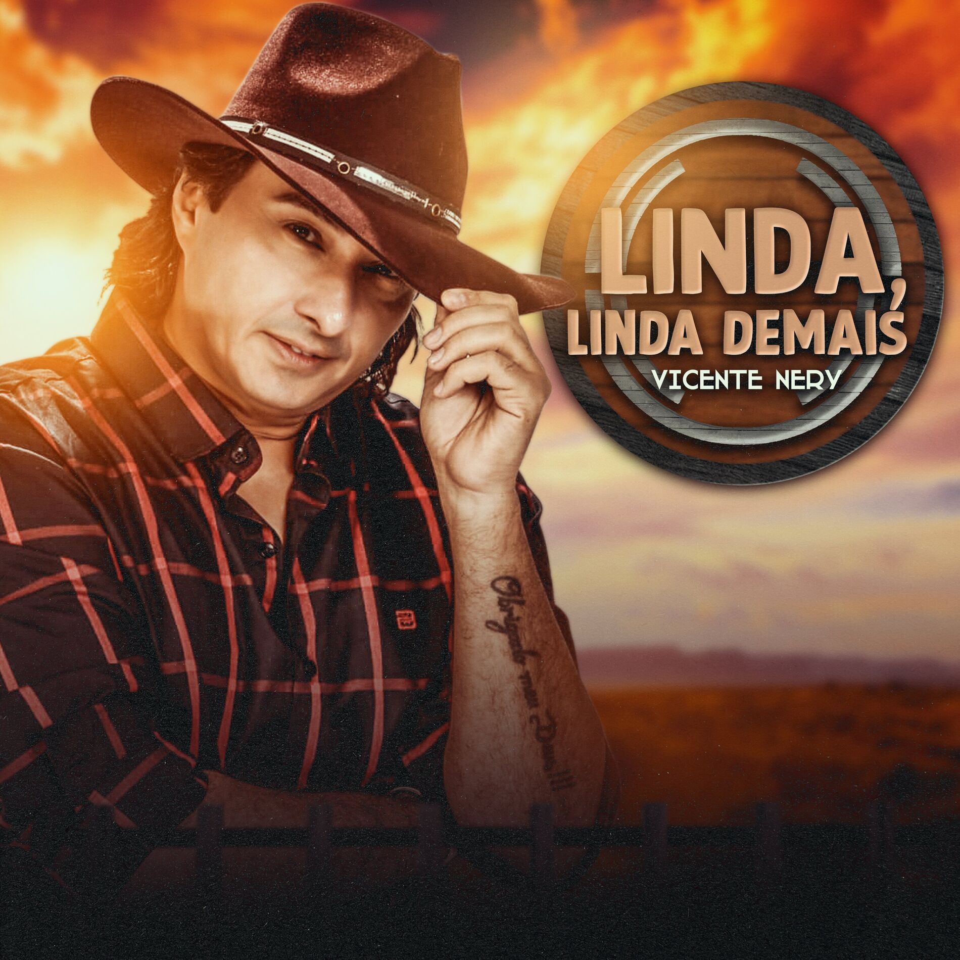 Album cover of Linda, Linda Demais