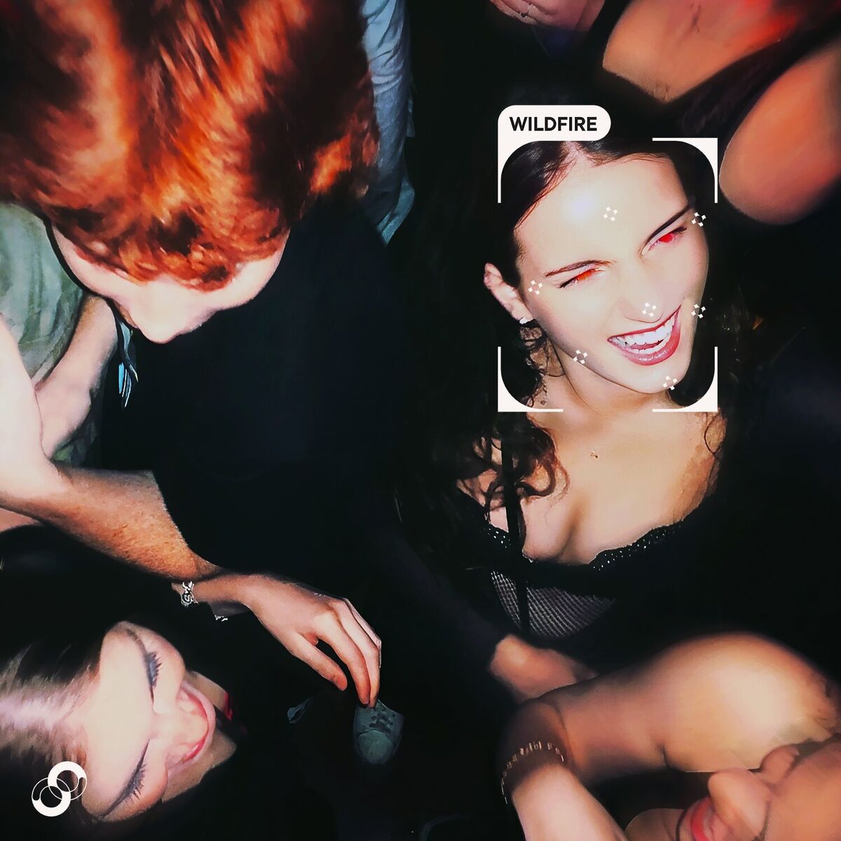 Album cover of Wildfire