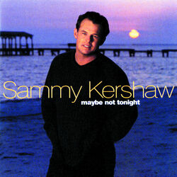 Cover of Maybe Not Tonight