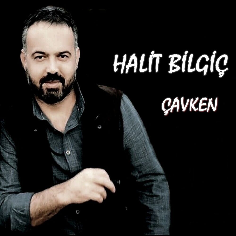 Picture of Çavken (2018)