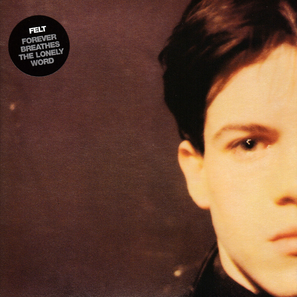 Album cover of Down But Not Yet Out
