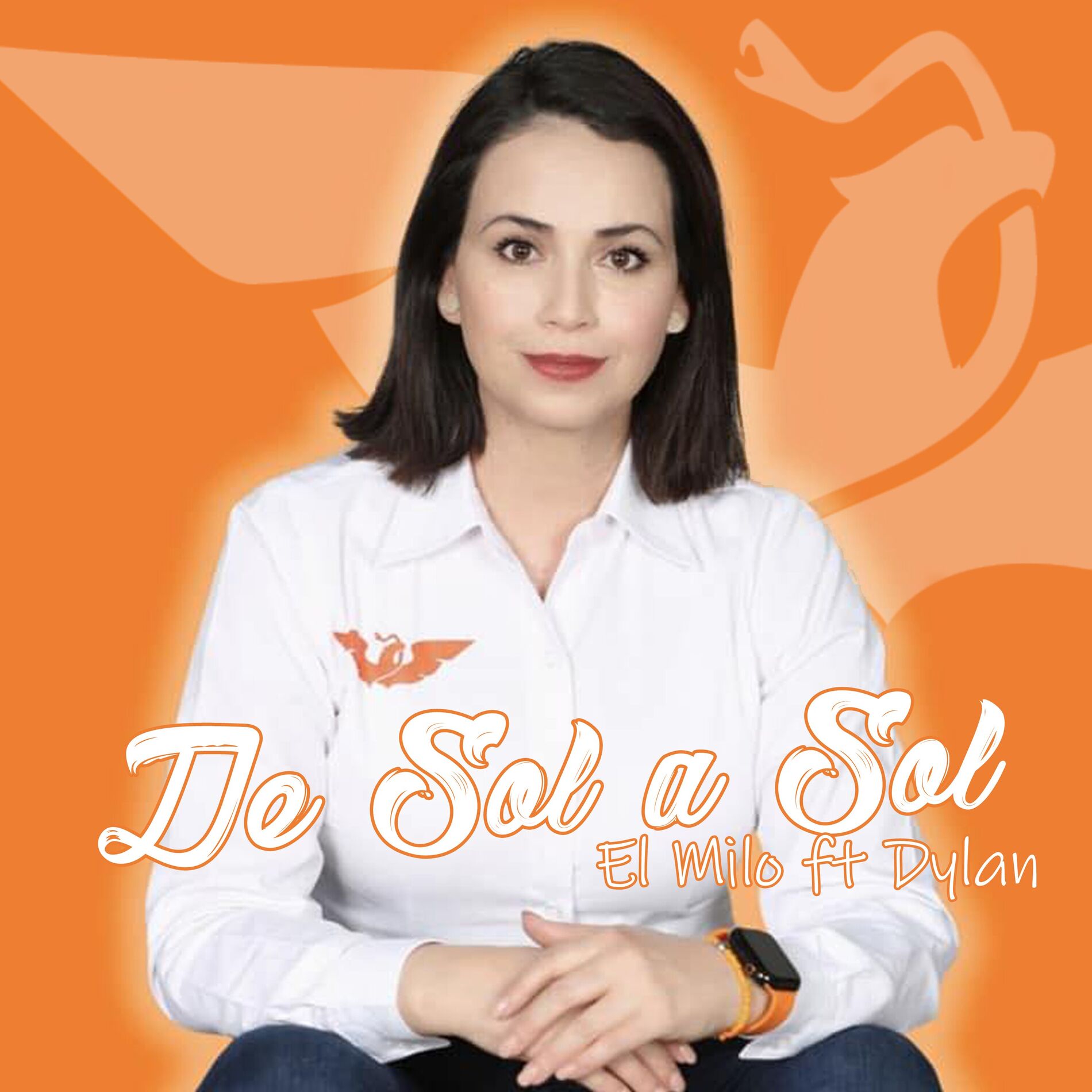 Album cover of De sol a sol