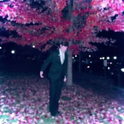 Cover of Serenity At Its Finest (EP)