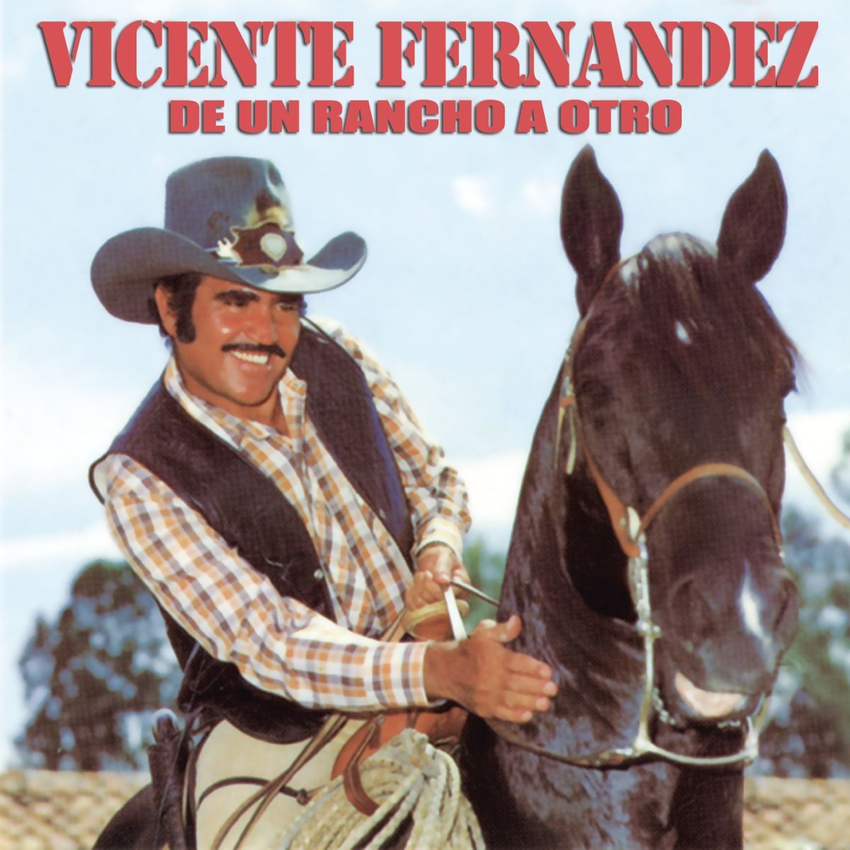 Album cover of Aprendiste a Volar