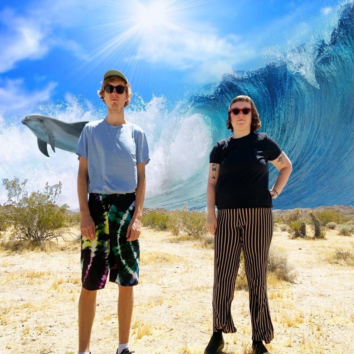 Album cover of Dolphin hyperspace