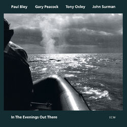 Cover of In The Evenings Out There