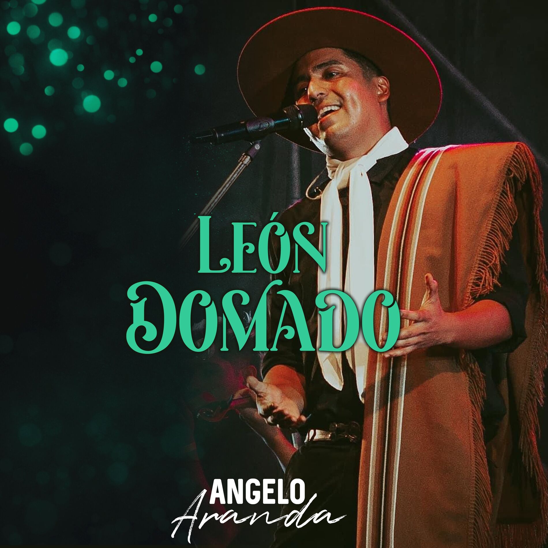 Album cover of León Domado