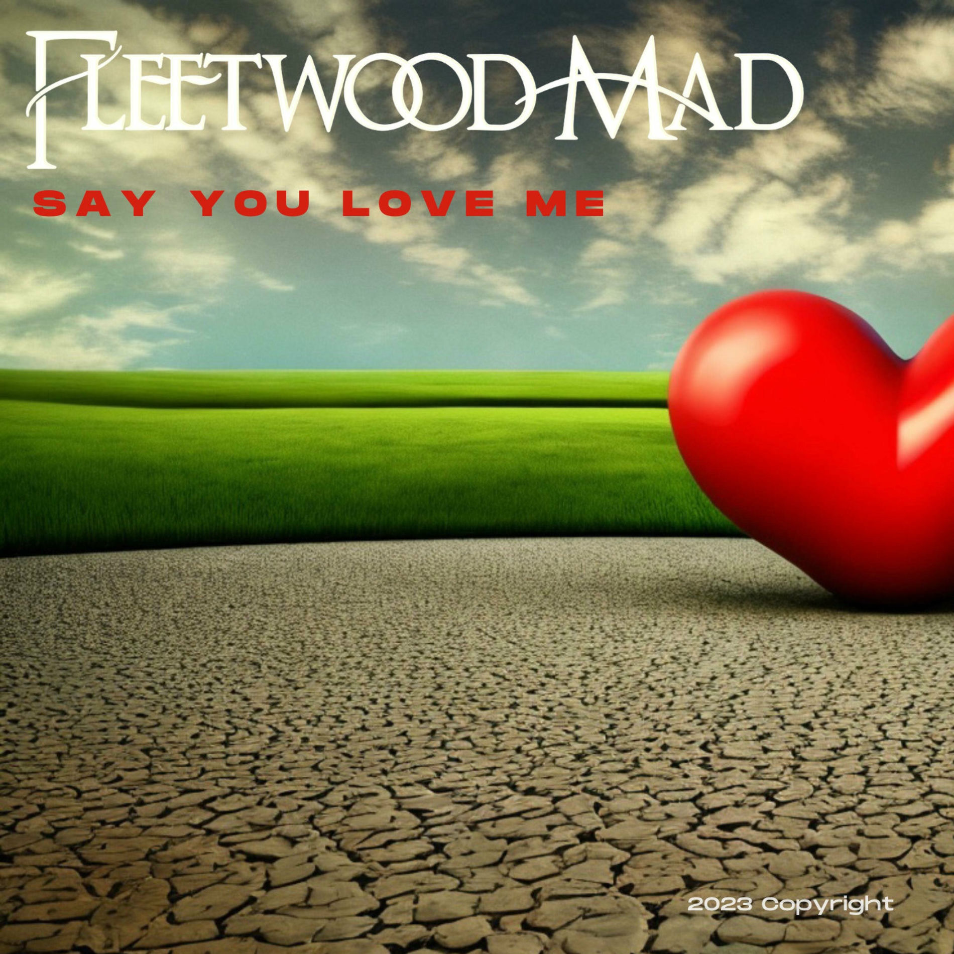 Album cover of Say You Love Me