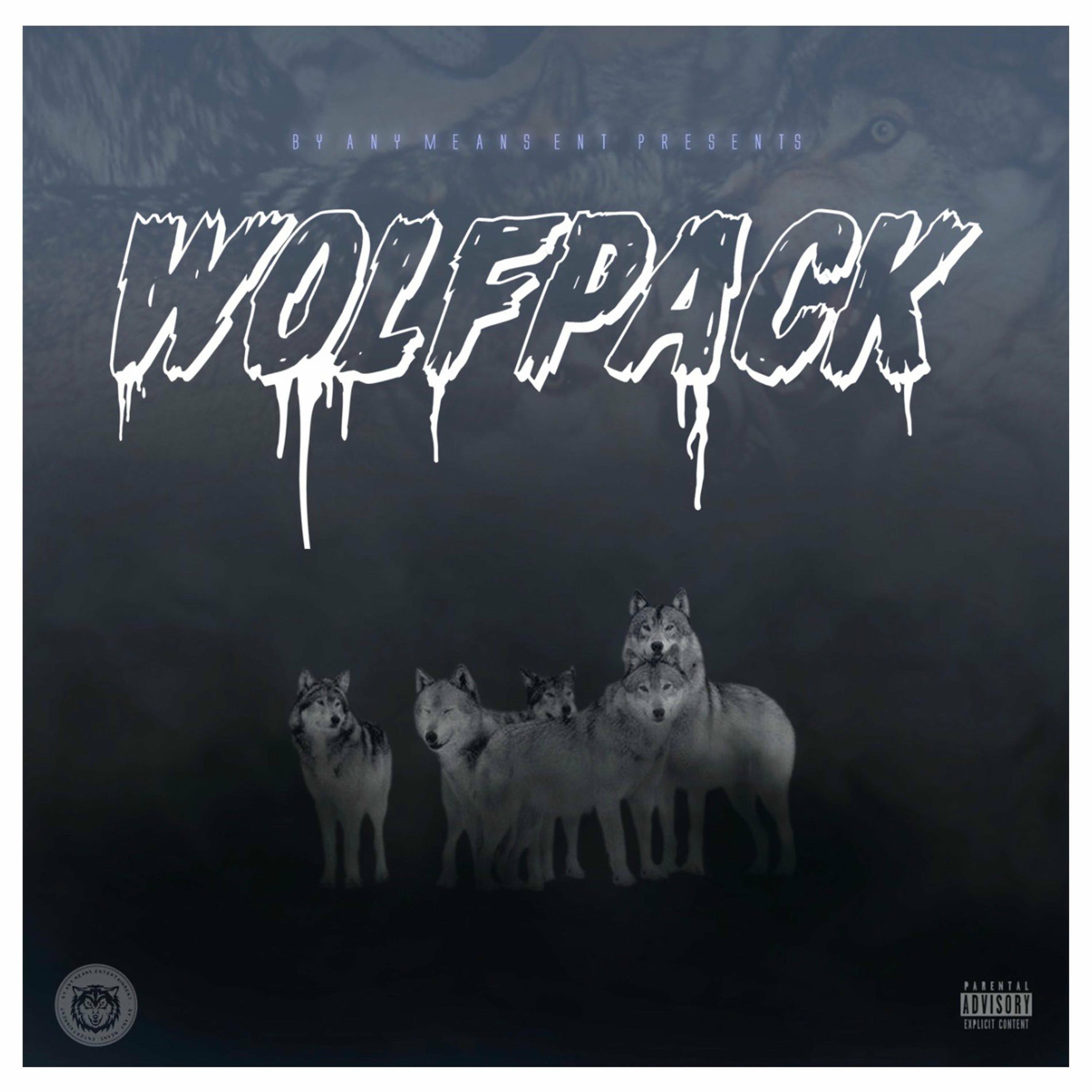 Album cover of Wolfpack