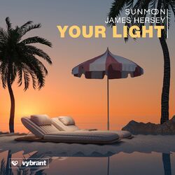 Cover of Your Light