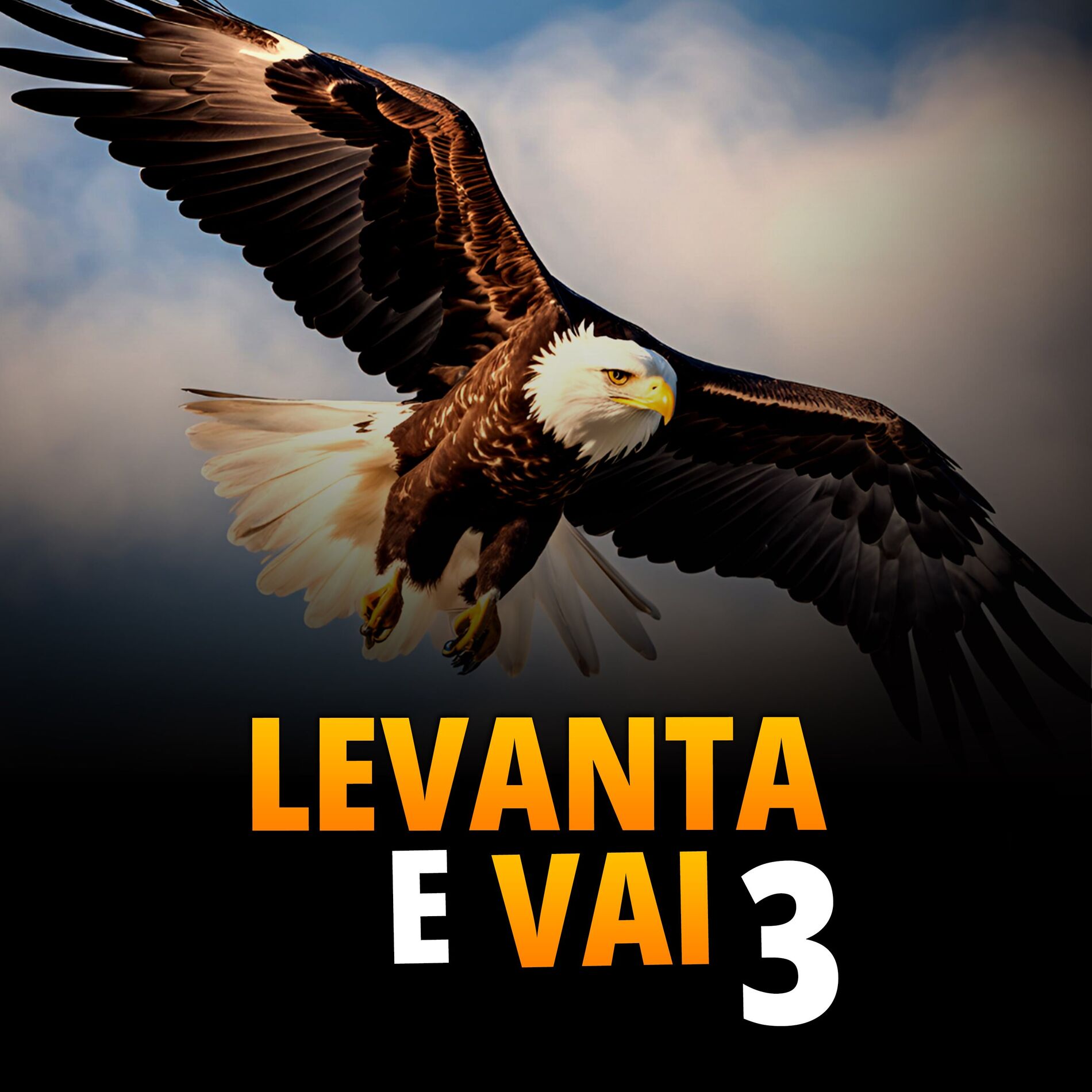 Album cover of Levanta e Vai 3