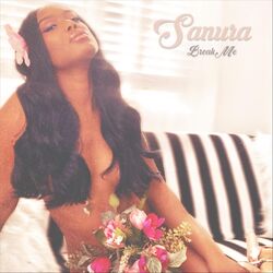 Cover of Break Me