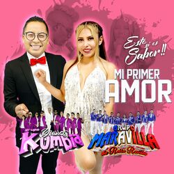 Cover of Mi Primer Amor (feat. Grupo Maravilla De Robin Revilla)