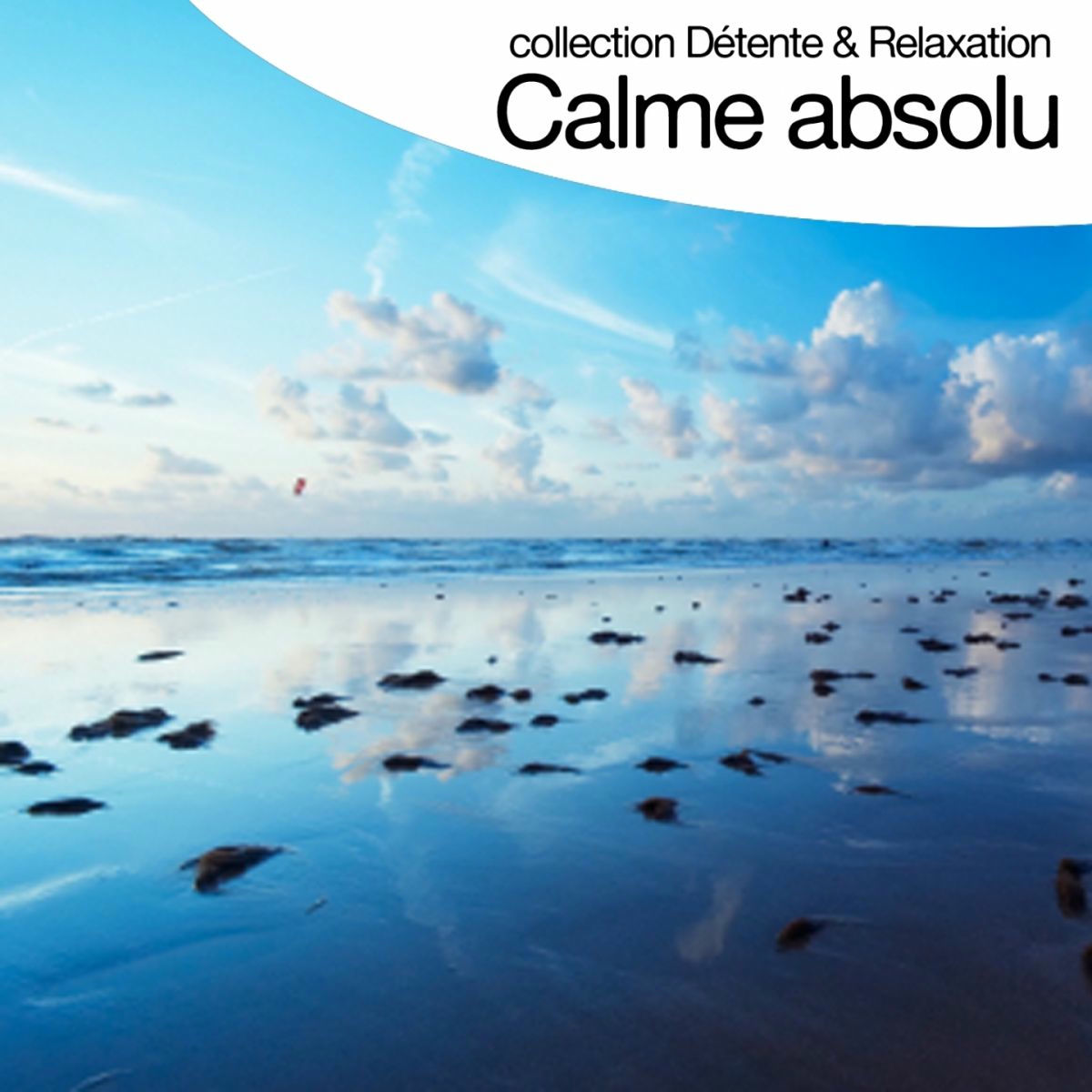 Album cover of Relaxation en forêt