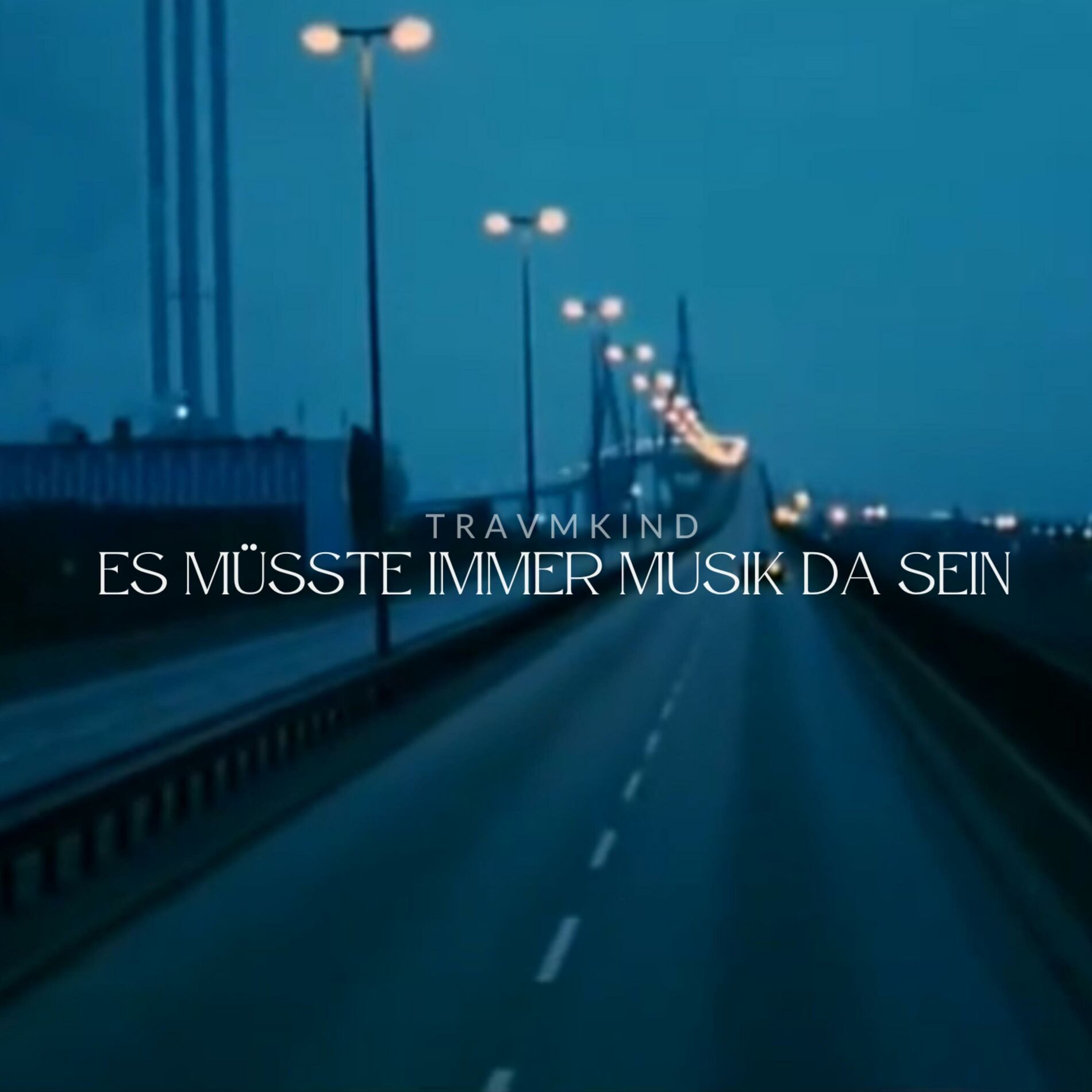 Album cover of Es müsste immer Musik da sein
