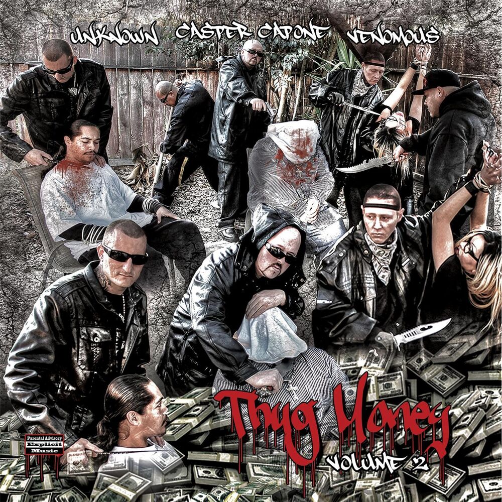Picture of Thug Money, Vol. 2