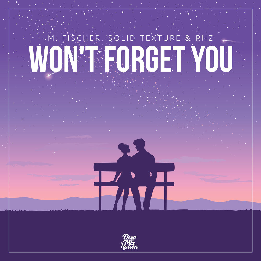 Picture of Won't Forget You