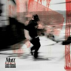 Cover of MUTT (CB REMIX)