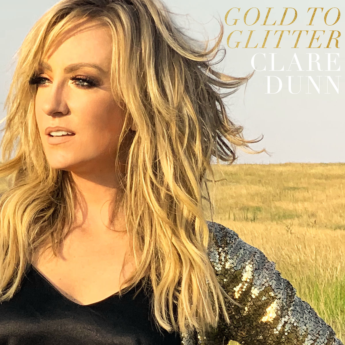 Album cover of Gold To Glitter