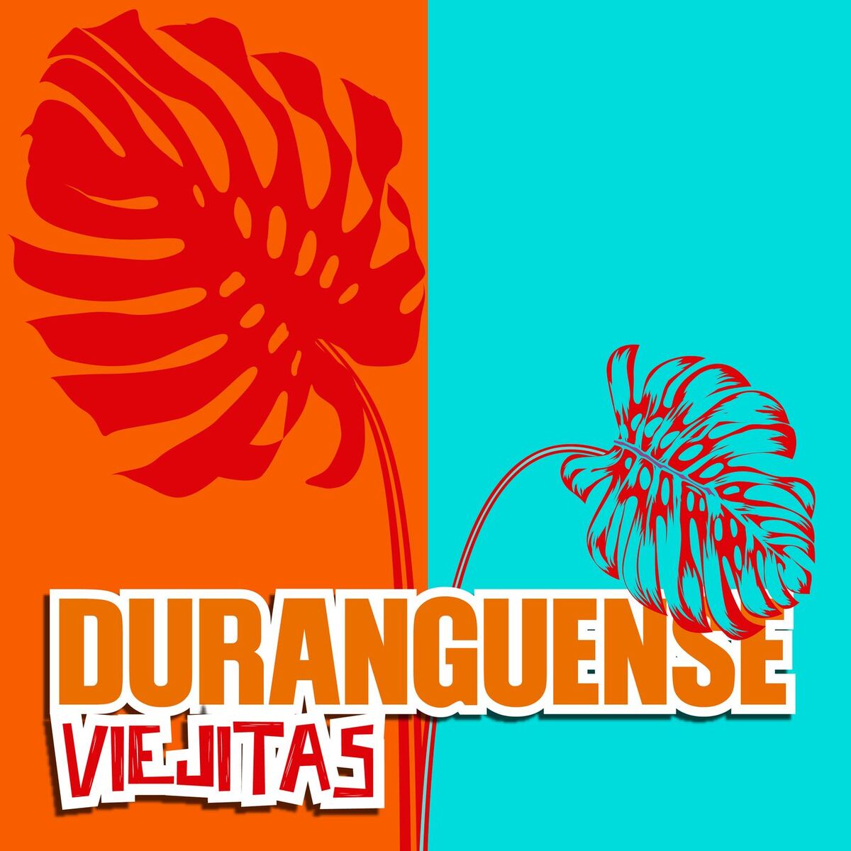 Album cover of Duranguense Viejitas