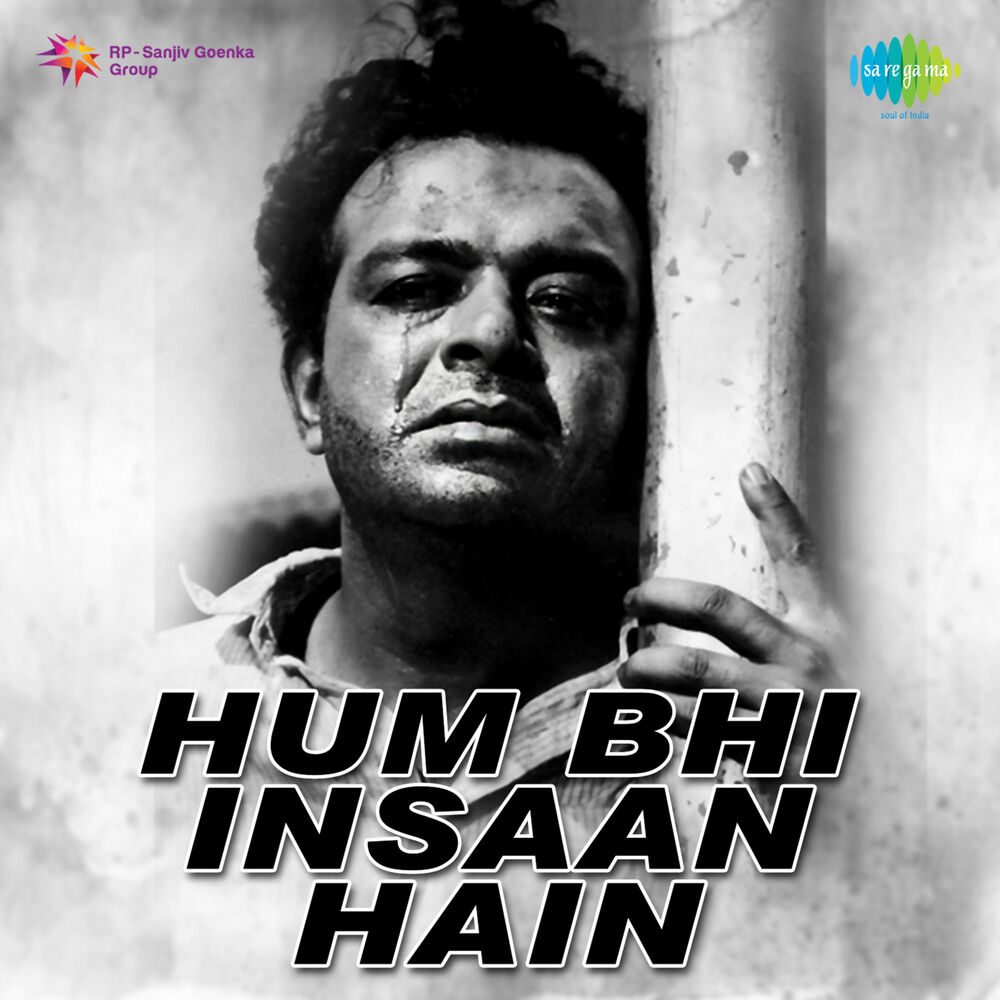 Picture of Hum Bhi Insaan Hain (Original Motion Picture Soundtrack)